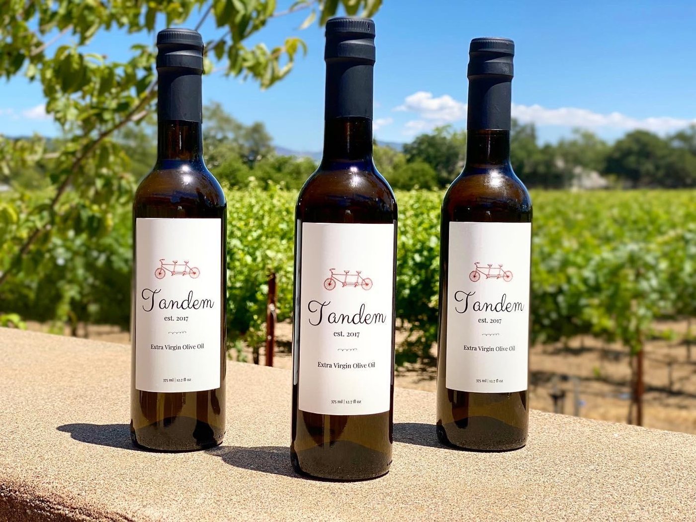 Tandem extra virgin olive oil bottles overlooking a vineyard